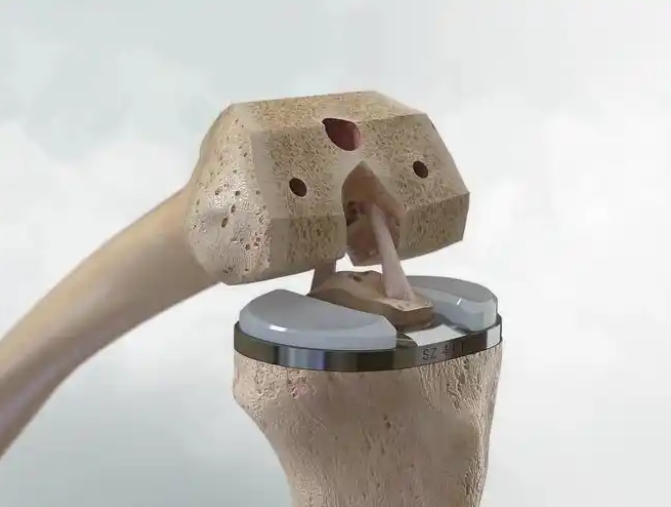 金相磨抛机生物医学